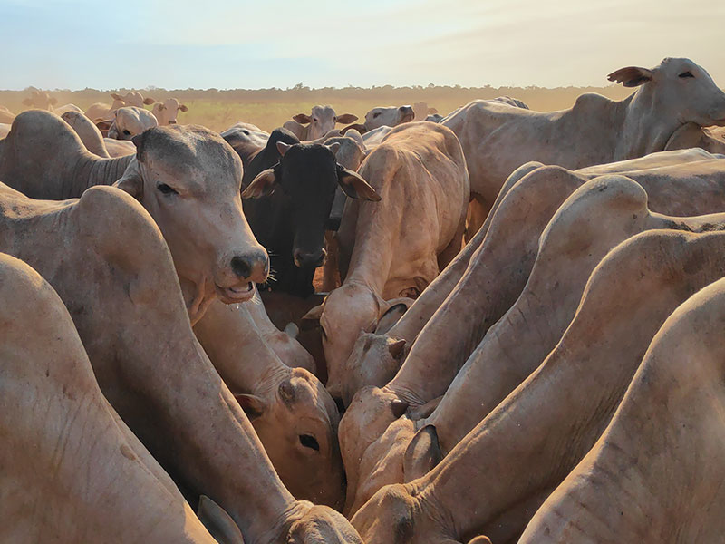 irrigasol-projetos-0002
