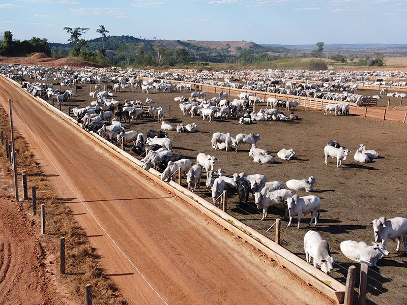 irrigasol-projetos-0003