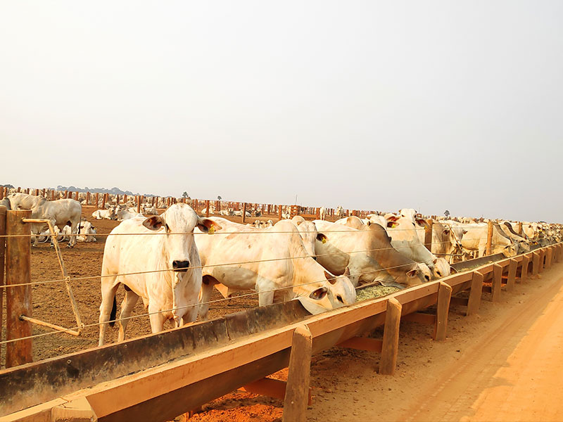 irrigasol-projetos-0004